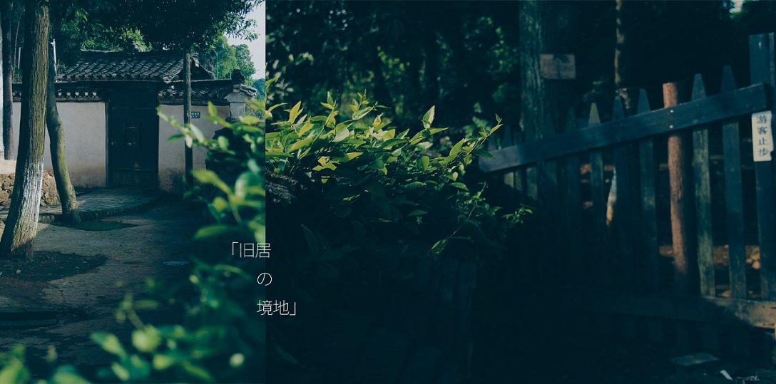 冬日雪暖阳 艺术有温度——红梅文创园双展齐开